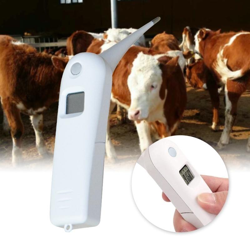 Veterinary Thermometer with Probe Accurate Temps for Horses Sheeps Beeps Alert