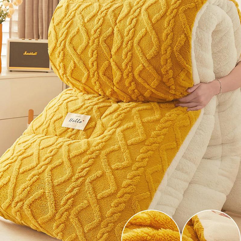 Double-sided lamb velvet quilt winter thickened warm coral velvet comforter dormitory student quilt spring autumn cotton blanket