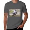 Mating Pigeons Tshirt Daily Work Short Sleeve Top