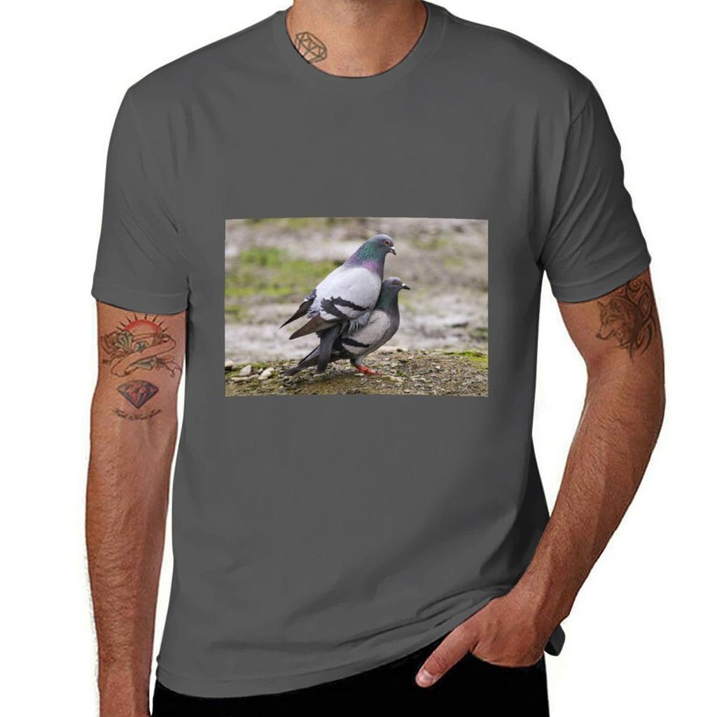 Mating Pigeons Tshirt Daily Work Short Sleeve Top