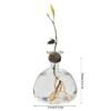 Klare Hochborosilikatglas Avocado Anzuchtvase Hydroponische Blumenvase Pflanzenbehälter Wachstumsvase Geschenk