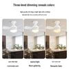Oeny 495mm Four-Leaf Decorative Ceiling Fan with Light