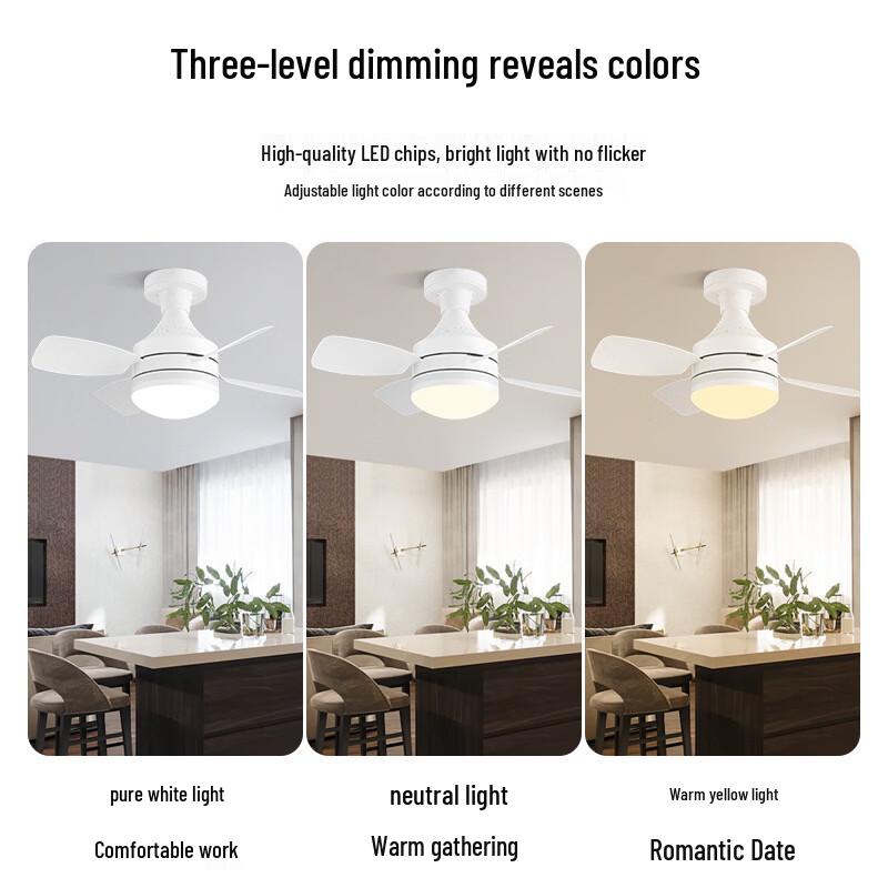 Oeny 495mm Four-Leaf Decorative Ceiling Fan with Light