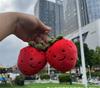 10CM Red Strawberry Fruit Cute Face Expression Stuffed Garden Series Plush Comfort Toy