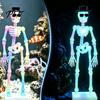 Unique Aquarium Decorations for Fish Dancing Skeleton Bubbler with Adjustable Air Flow, Underwater 3D Printed Flow Bubble Ornament Powered Moving