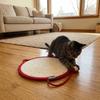 Runde Haustier-Schlafmatte Abriebfest Kratzfest Hundematratze Baumwollseil mit Ball Katzenkratzmatte Wohnung