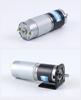 12V Miniature High Torque Brushed DC Motor with 36GP555 Planetary Gearbox