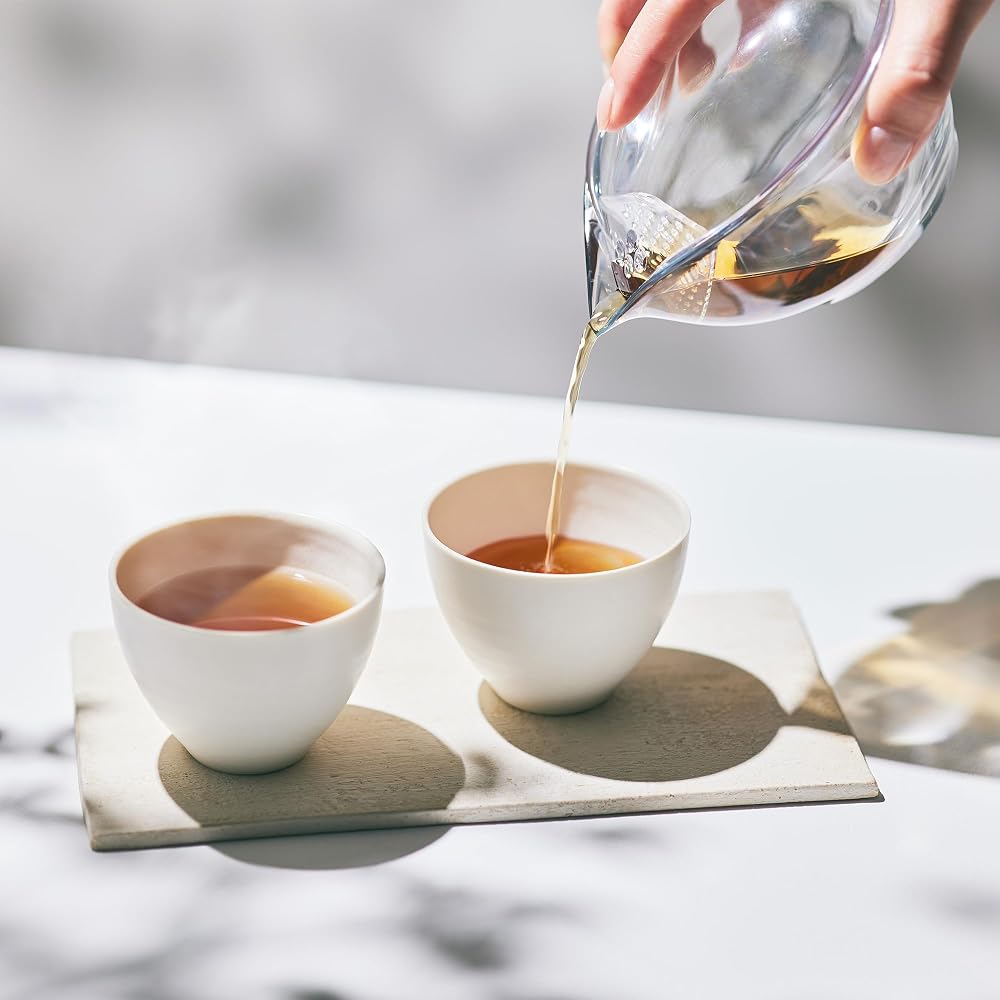 Japanese Product Mori Han Gokan Chasta Tritan Teapot 250ml - Transparent, Durable, Dishwasher Safe, Heat Resistant