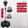 Freestanding Boxing Reflex Speed Bag