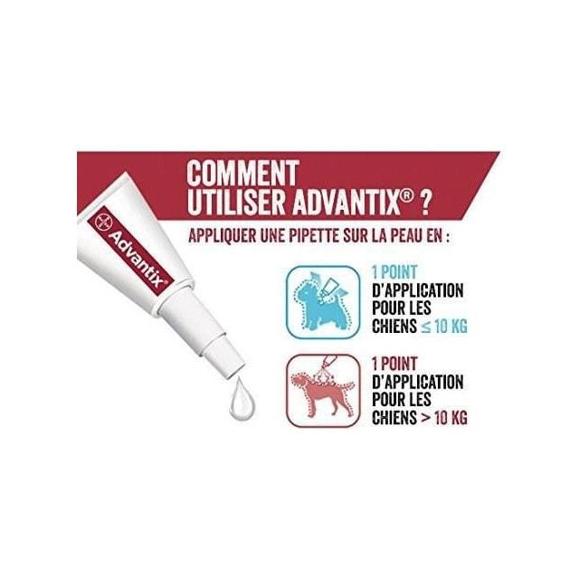 Cheap Flea and tick remedy for dogs ADVANTIX 4Pipetten gegen Parasiten
