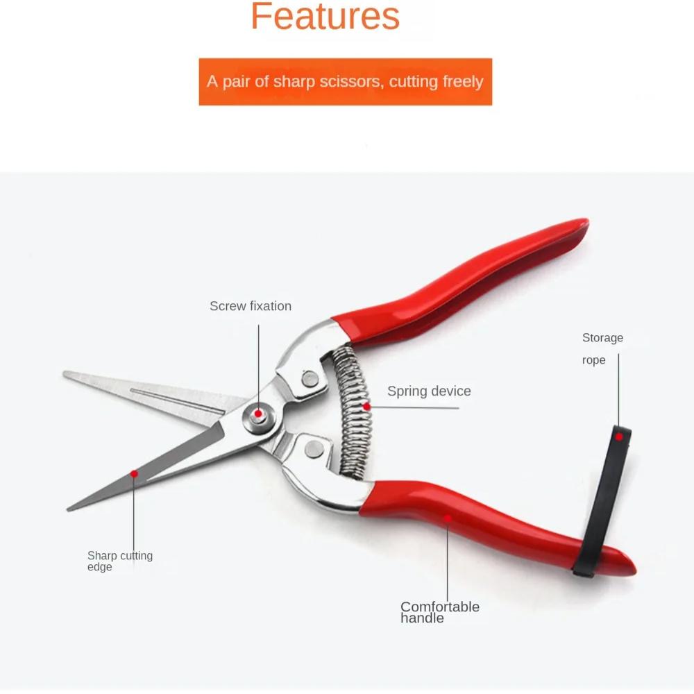 Stainless Steel Pruning Scissors Gardening Scissors Household Fruit Picking Grape Scissors Garden Branch Pruning Tools