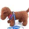 Dog Cat Harness Collar Leash Fashion Bones Paws Print Safety Traction Rope