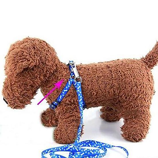 Dog Cat Harness Collar Leash Fashion Bones Paws Print Safety Traction Rope