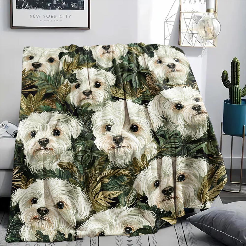 Maltese dog,pattern Flannel Blanket, High quality Comfortable for All Seasons, Home Decor, Warmth and Comfort, Perfect for Gifts.