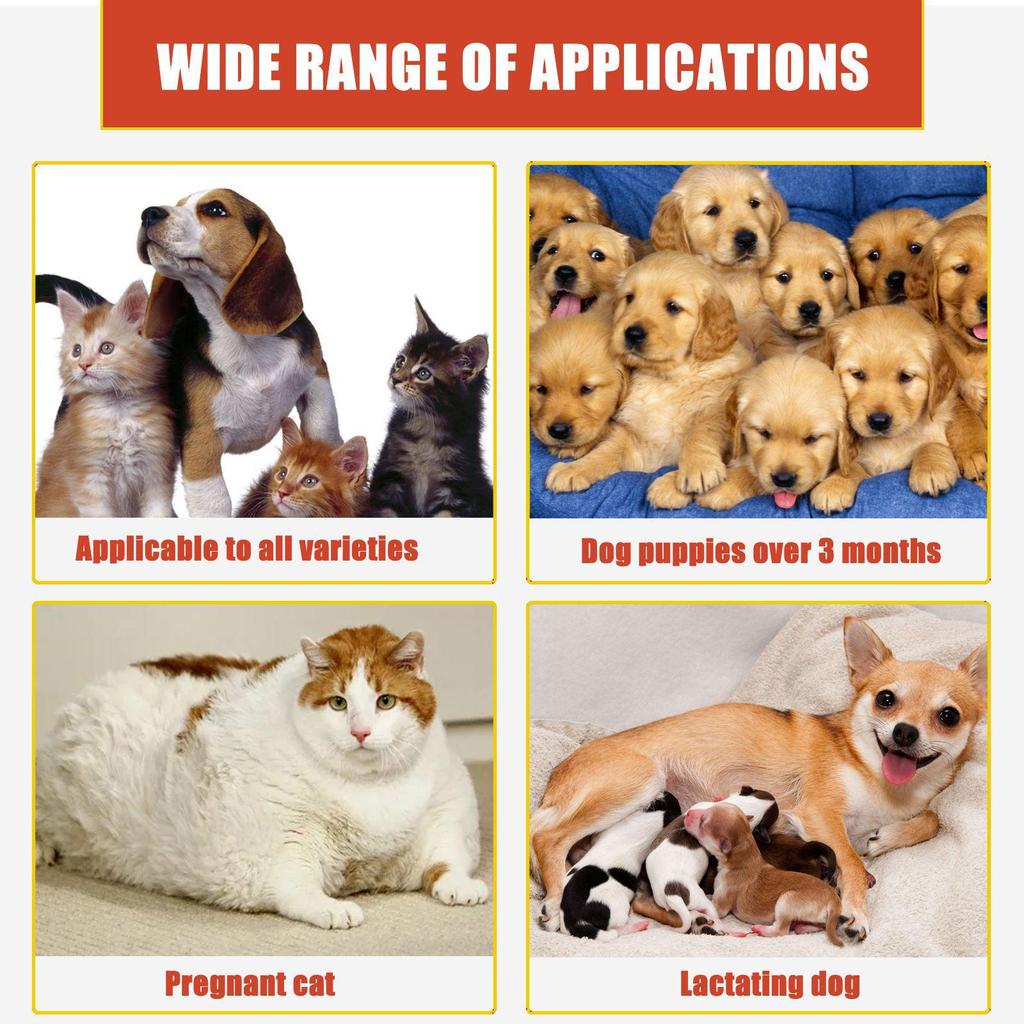 Yegbong Pet Styptic & Healing Powder for Cats & Dogs