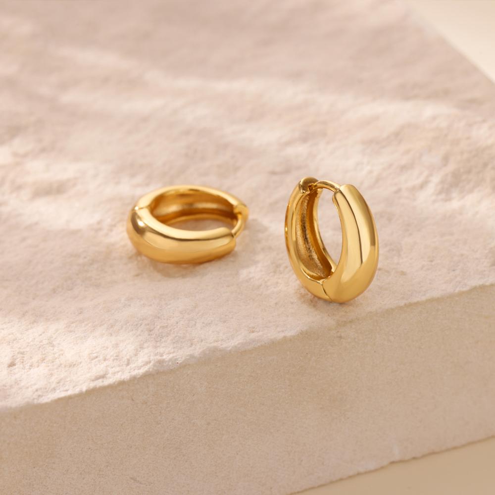 Classic Hoop Earrings For Women Girls Gold Color Chunky Stainless Steel Earrings  Trend New In Minimalist Ear Jewelry Aretes