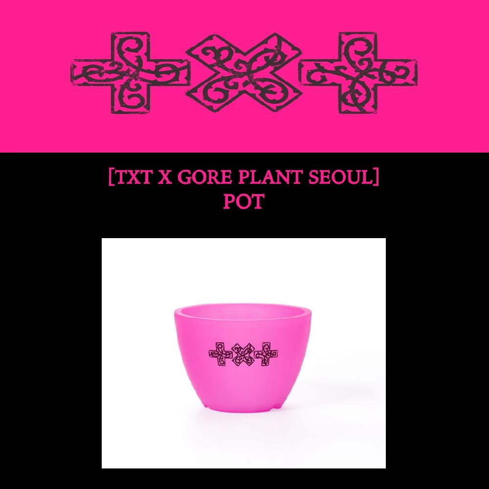 TXT 7th Year: A Moment of Stillness in the Thorns Pot