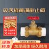 Weigusi PPR Double Union Brass Globe Valve