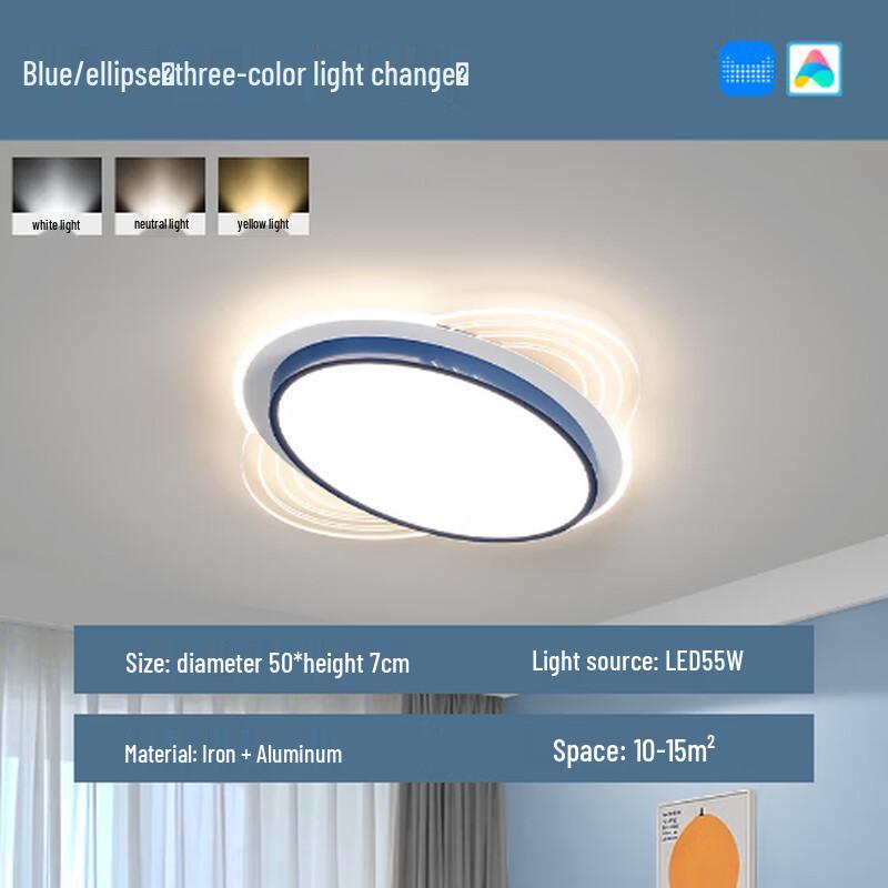 Modern Oval LED Ceiling Lamp