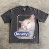 Benadrly Cat Shirt - Silly Cat T-Shirt - Gen Z Tee