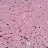 100g DIY Squishy Toy Filler Handmade Petals Granule Beads Filler Squeeze Toy Stuffing  Kids Toy