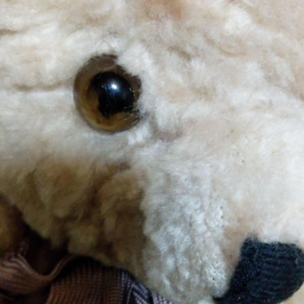 [USED] antique teddy bear