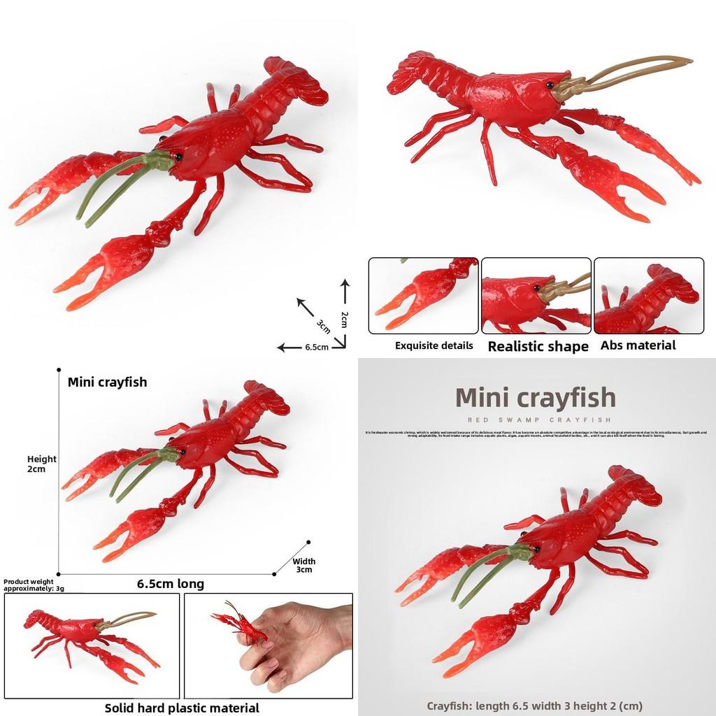 Animal Marine Model Plastic Red Claw Lobster Decor Toy For Kids Gift Learning