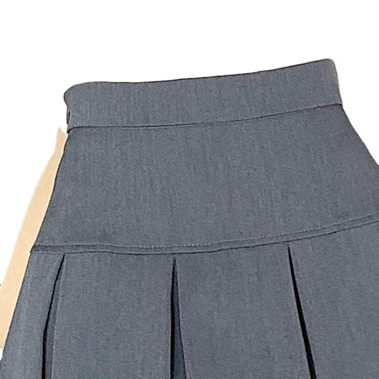 Grey High-waisted Pleated Skirt for Women Autumn Casual All-match Versatile Skirt Black A-line Skirt XS Mini Skirt Petite Dress Black