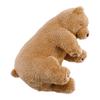 Livheart Soine Bear Cub Medium Cute Bear Plush Body Pillow, (Total Length Approx. 43cm), Toy, Pillow, 37055-13