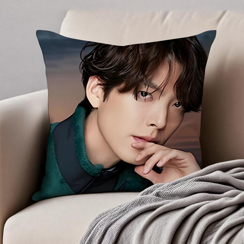 Handsome KKim Woo Bin Cushion Cover Pillowcase Antidustmite Invisible Zipper Short Plush Sofa Cushion