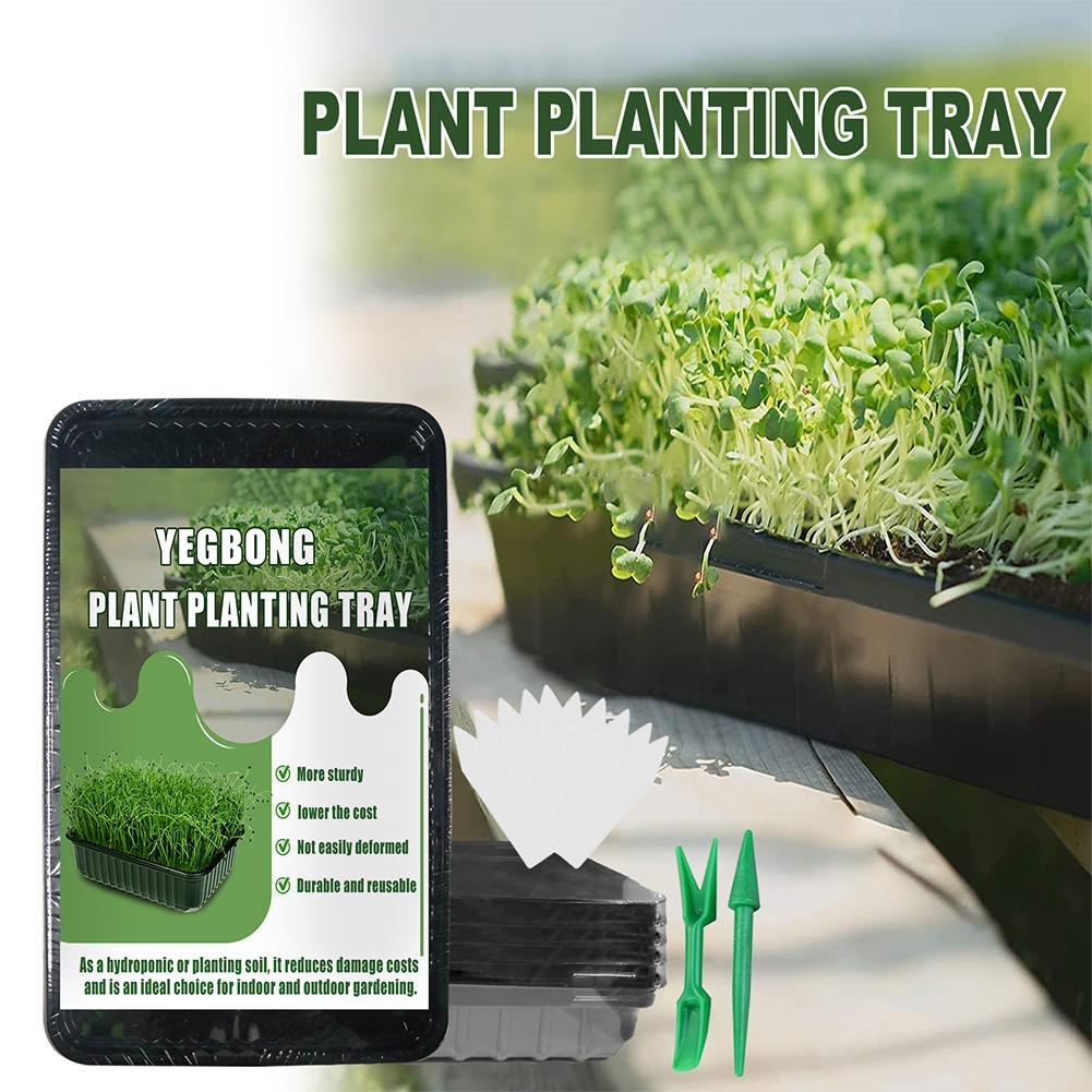 Buy Seedling Germination Kit S/L E0Q4 at affordable prices — free