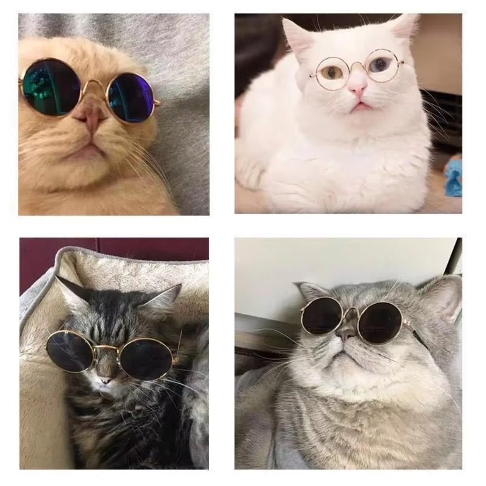 UV Protection Cat Sunglasses Vintage Dog Glasses Cute Pet Sunglasses  Pet Accessories