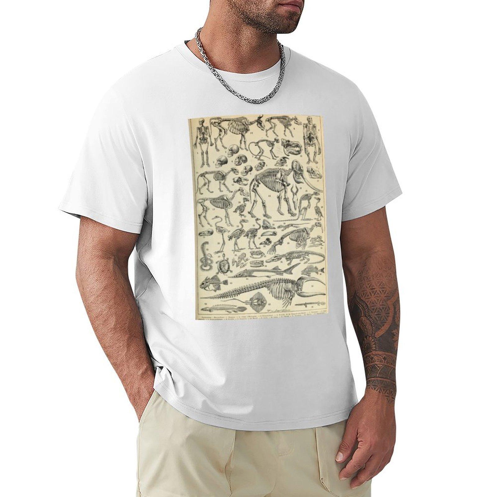 Skeletal Anatomy Tshirt Work Style Casual Tshirt S