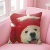 Funny Cute Dog Cat Cushion Cover Natural Linen Pillow Case Double-Sided Print Decorative Sofa Pillowcase Home Decor Gift