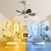 22" 3/5 Blades & LED Lighting Fan Silent DC Motor & Energy Saving Fan Household Electric Ceiling Fan with Hook