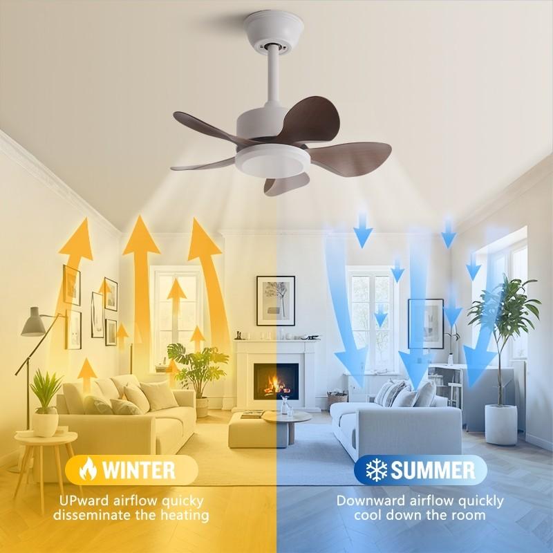 22" 3/5 Blades & LED Lighting Fan Silent DC Motor & Energy Saving Fan Household Electric Ceiling Fan with Hook
