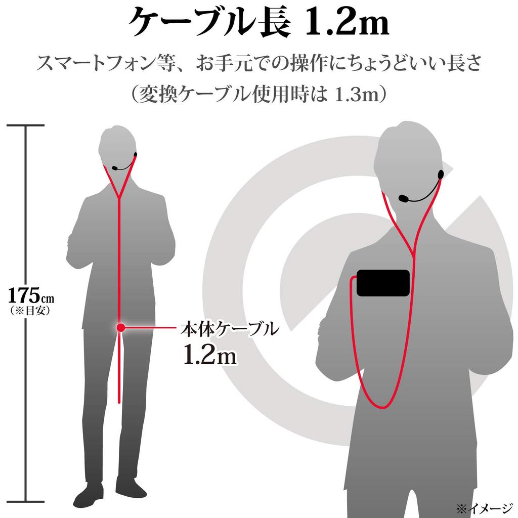 ELECOM HS-GS30ELBK Inner-Type Earphones, Ideal for Smartphone Gaming, with Built-in Microphone Arm, Lightning Connection, Black