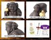 Offiziell genehmigt von Toyotomi Hideyoshi Daikokuten Klein Buddhistisch Einer der Sieben Glücksbringer von Isumu Daikokuten Entoku-in Tempel Dreigesichtig (Hölzern