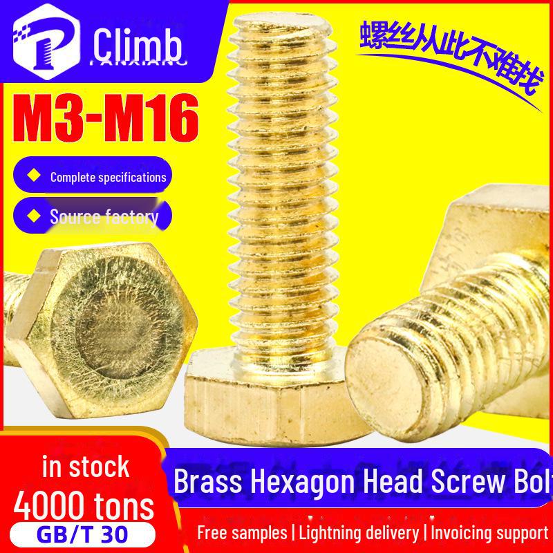 

Brass Hexagon Copper Screws & Bolts - M6/M8/M10/M12 Sizes M4*20