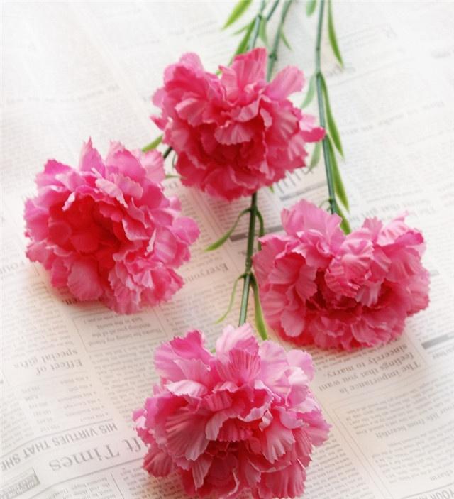 K-1030 Factory High Quality Flower Artificial Carnation For Decoration