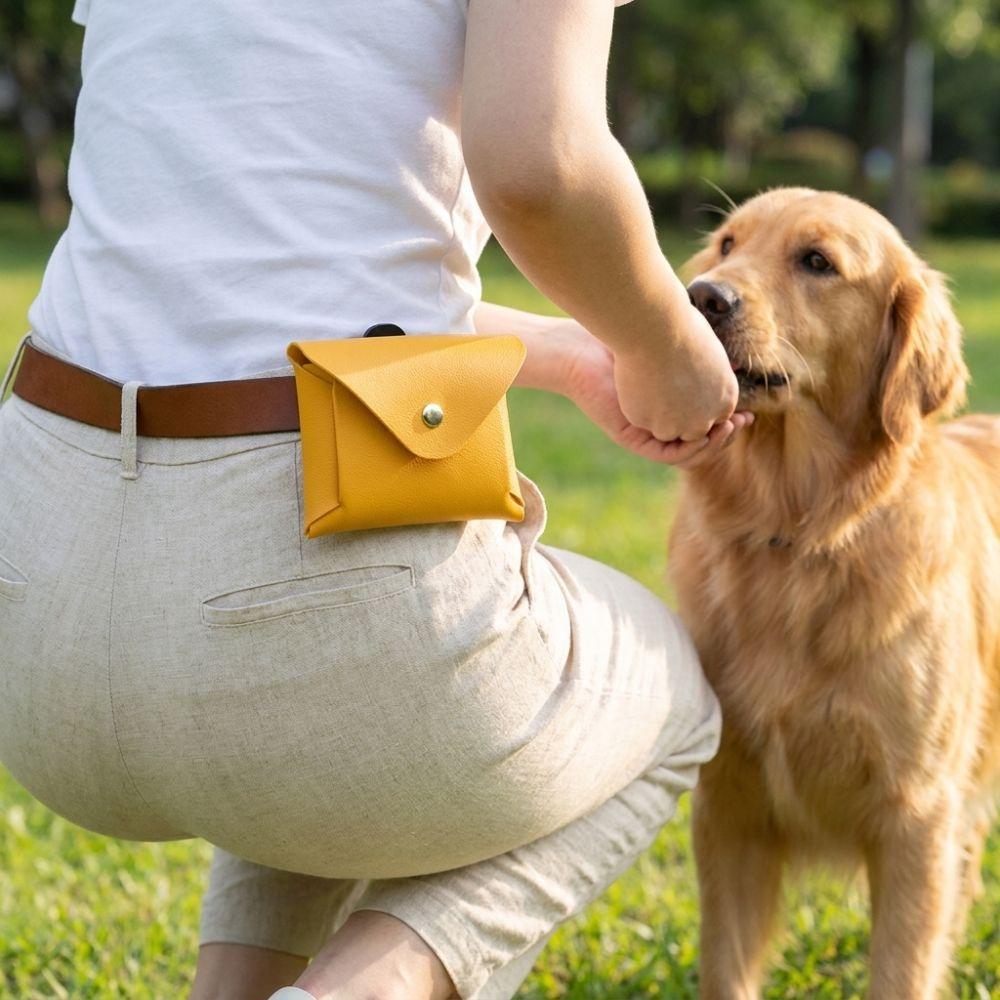Shockproof Dog Training Snack Bag Clip on Dog Treat Holder Walking Snack Bag Outdoor Walking