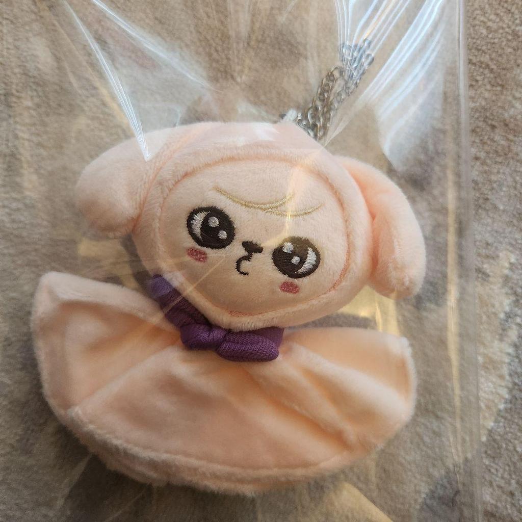 [USED] SKZOO Teru Teru Bouzu Charm Plush Toy Puppy Seungmin