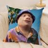 John Pork Is Calling Funny Cushion Cover Silky Short Plush DoubleSided Printed Pillow Case for Sofa All Seasons Home Decor Gift
