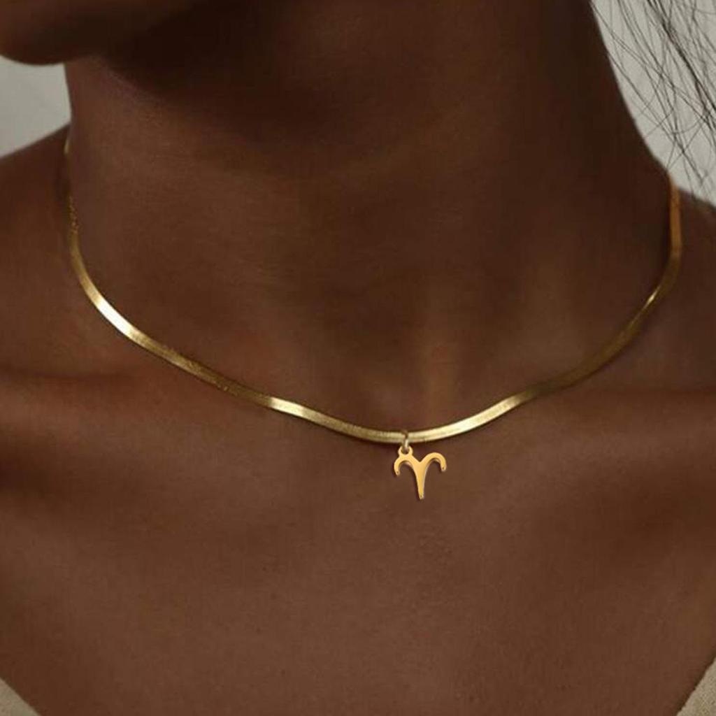 18K Gold-Plated Fashionable 304 Stainless Steel Zodiac Necklace with Flat Snake Chain, Colorfast.