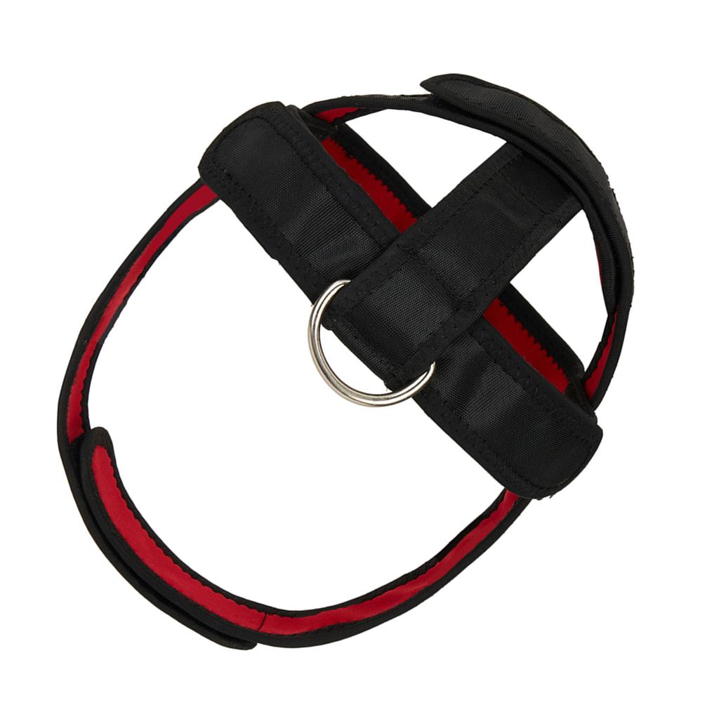 Sports Neck Training Exerciser Harness Muscle Builder Head Harness Gym Home Fitness for Strength Power Lifting Workout
