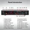 Highly Power 5.1Channel Music Amplifier Featuring Bluetooth-compatible 5.1 USB Card & Mics Input for Home Entertainment