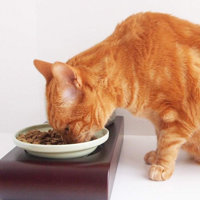 Healthwater Food Bowl L Green
