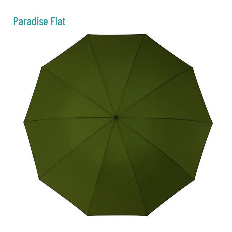 Heaven Umbrella Urban Guardian Automatic Business Folding Umbrella