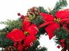 Wreath Yyhh-0823002 (8)