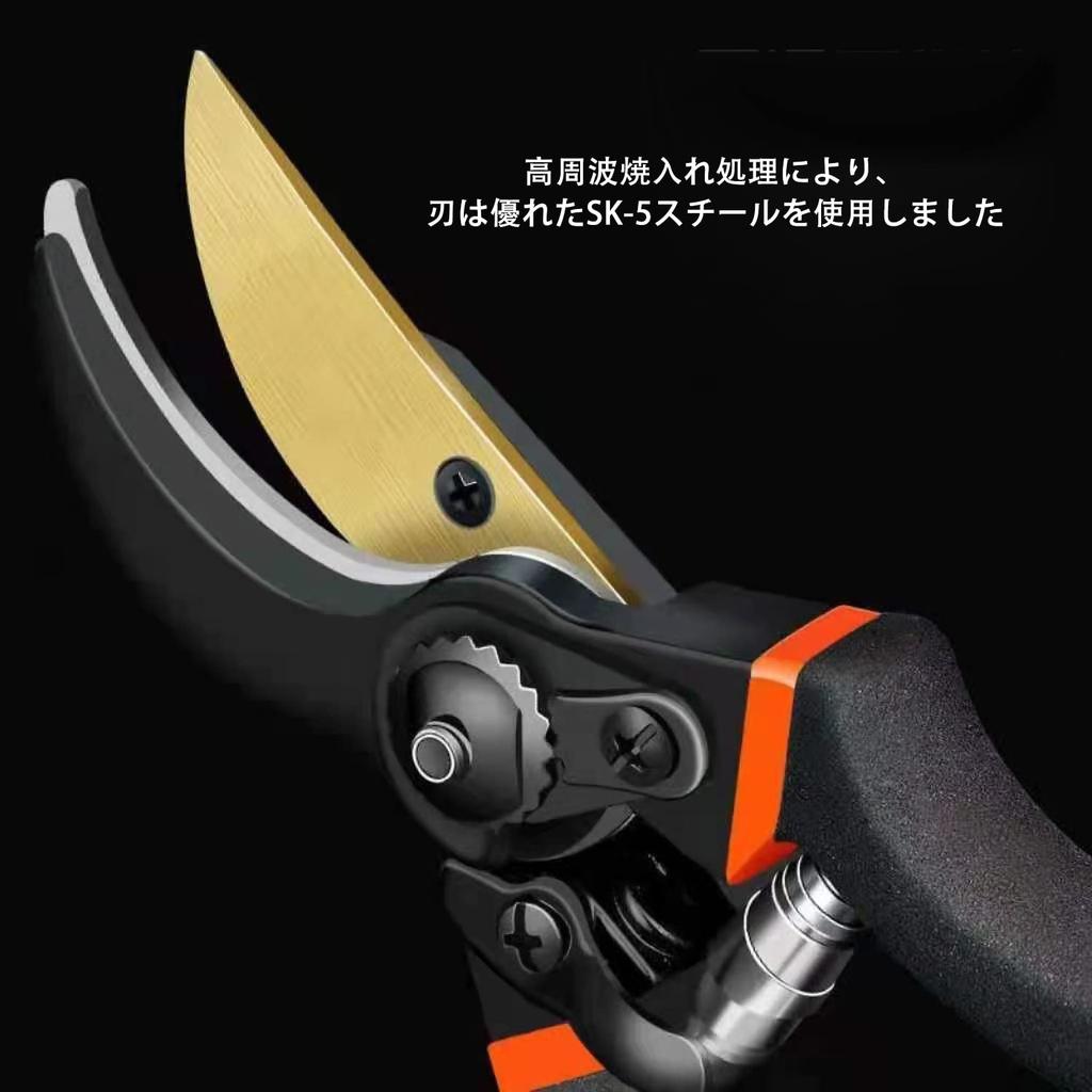 Hardware Tăierea plantelor Ramă de grădinărit Tăierea plantelor de grădină Vine cu lame de schimb Foarfece negre de schimb, foarfece, mici, tăiere,